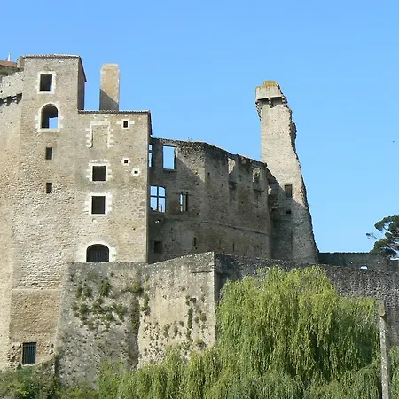 Camping Du Moulin